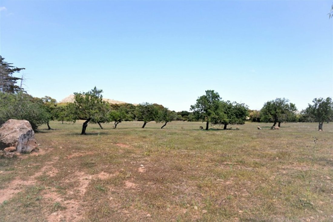 Land in Canyamel, Capdepera, Balearic Islands 2 - 11893102