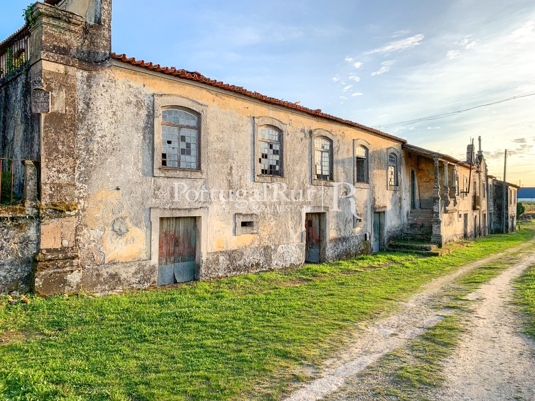 Farm Ranch in Santa Comba Dao e Couto de Mosteiro, Viseu District, Portugal 1 - 11883277