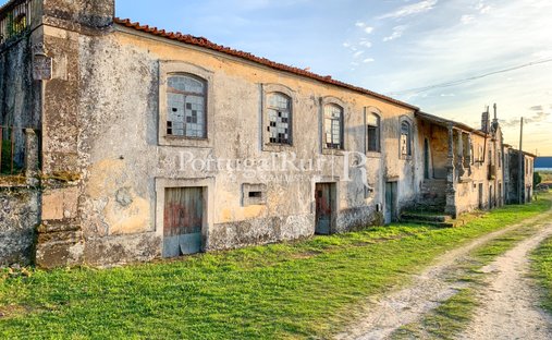 Azienda agricola a Santa Comba Dao e Couto de Mosteiro, Distretto di Viseu, Portogallo 1