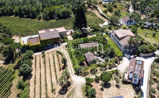 Farm Ranch in Serta, Castelo Branco District, Portugal 1