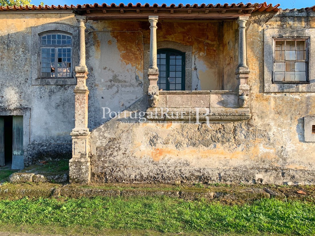 Farm Ranch in Santa Comba Dao e Couto de Mosteiro, Viseu District, Portugal 2 - 11883277