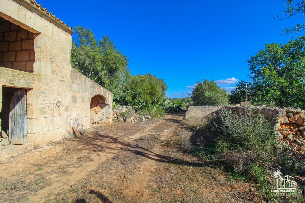 Campos, Balearic Islands, Spain 5 - 11893330