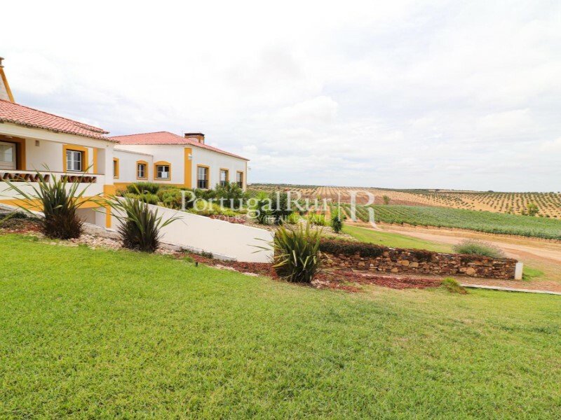 Farm Ranch in Se e Sao Lourenco, Portalegre District, Portugal 2 - 11896883