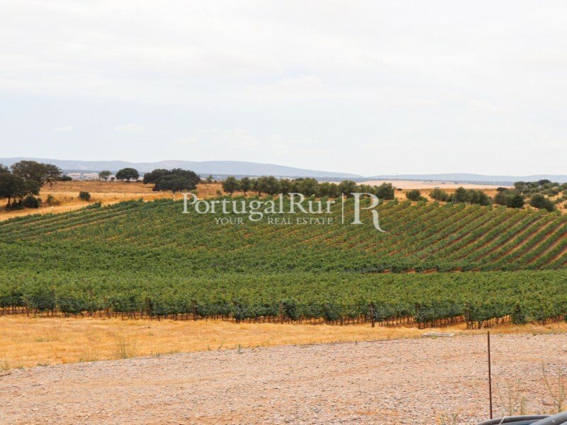 Farm Ranch in Se e Sao Lourenco, Portalegre District, Portugal 4 - 11896883