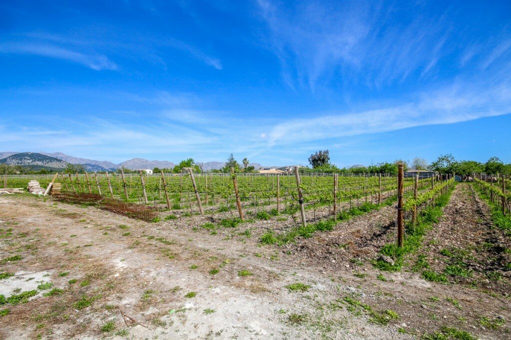 Finca in Alcudia, Balearic Islands, Spain 3 - 11903345