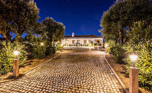 Azienda agricola a Reguengo e Sao Juliao, Distretto di Portalegre, Portogallo 1