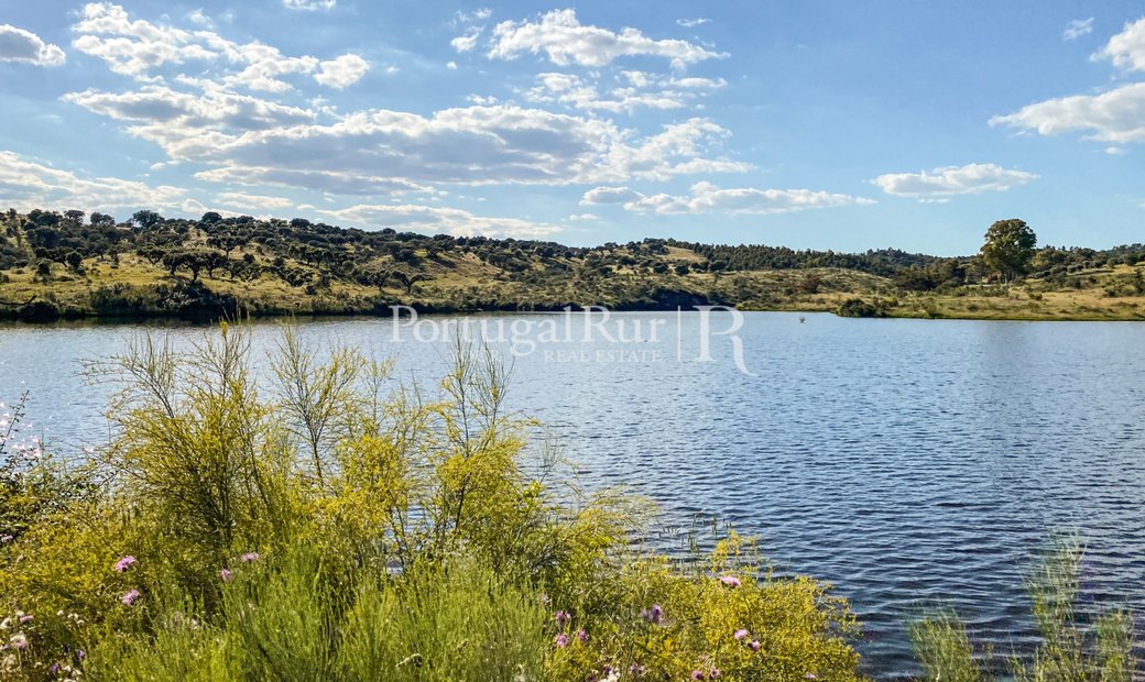 Forestry Property With In Castelo Branco, Castelo Branco District