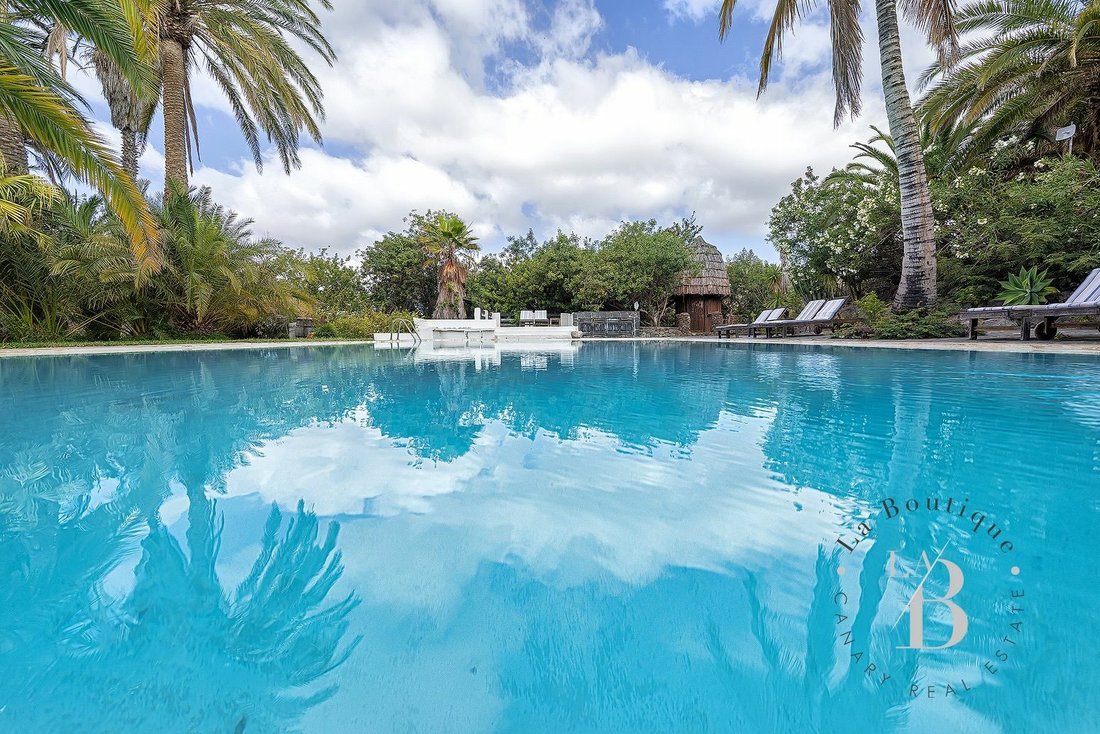 Villa in San Bartolome de Tirajana, Canary Islands, Spain 1 - 10867856