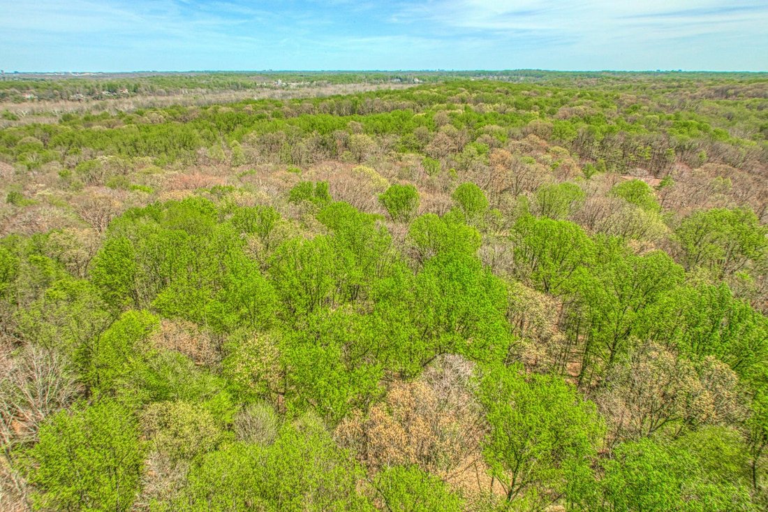 Land in Great Falls, Virginia, United States 2 - 11927343