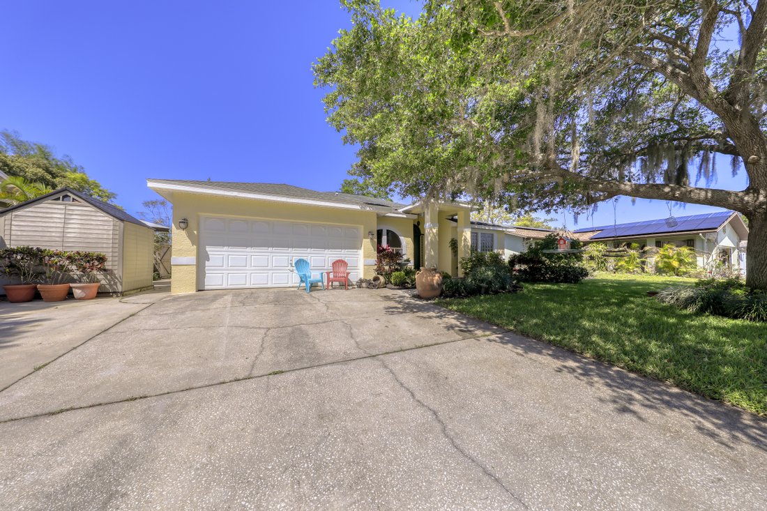 House in Palm Harbor, Florida, United States 4 - 11923099