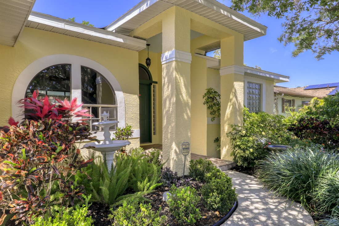 House in Palm Harbor, Florida, United States 3 - 11923099
