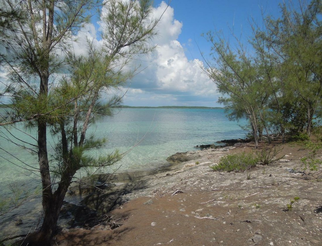 North Eleuthera Waterfront Lot In Upper Bogue, North Eleuthera, The Bahamas For Sale (11948359)