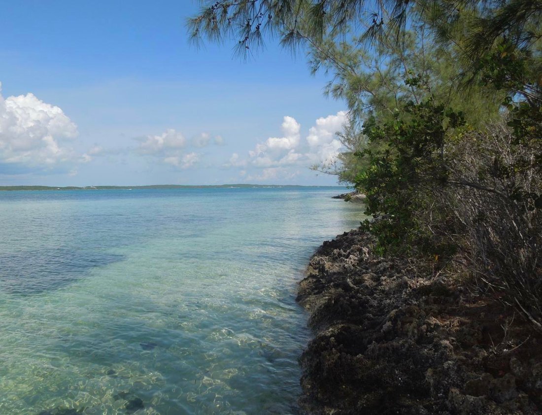 North Eleuthera Waterfront Lot In Upper Bogue, North Eleuthera, The Bahamas For Sale (11948351)