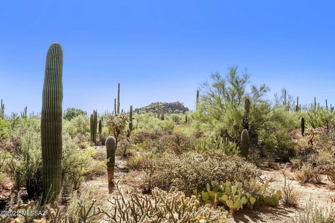 58 Pristine Acres In The Tucson Mountains In Tucson, Arizona, United