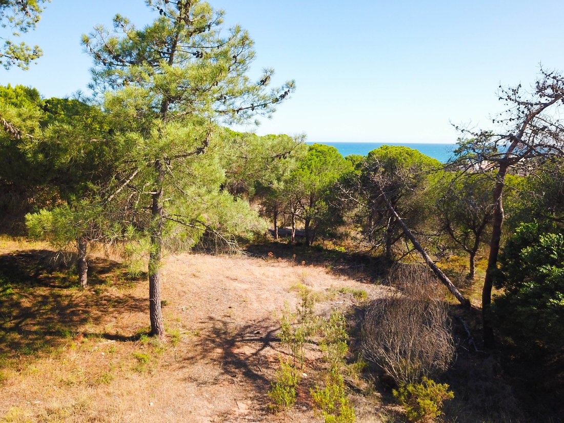 Land in Vale do Lobo, Almancil, Portugal 4 - 11954786