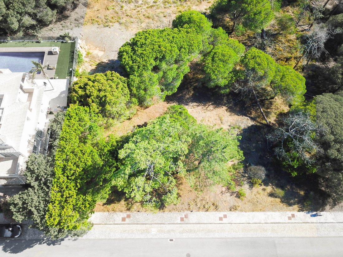 Land in Vale do Lobo, Almancil, Portugal 3 - 11954786