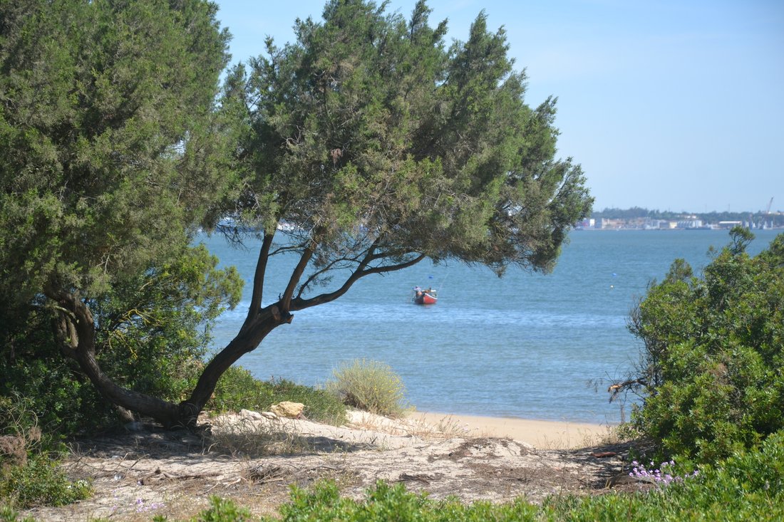 Land in Carvalhal, Setubal, Portugal 2 - 11955436