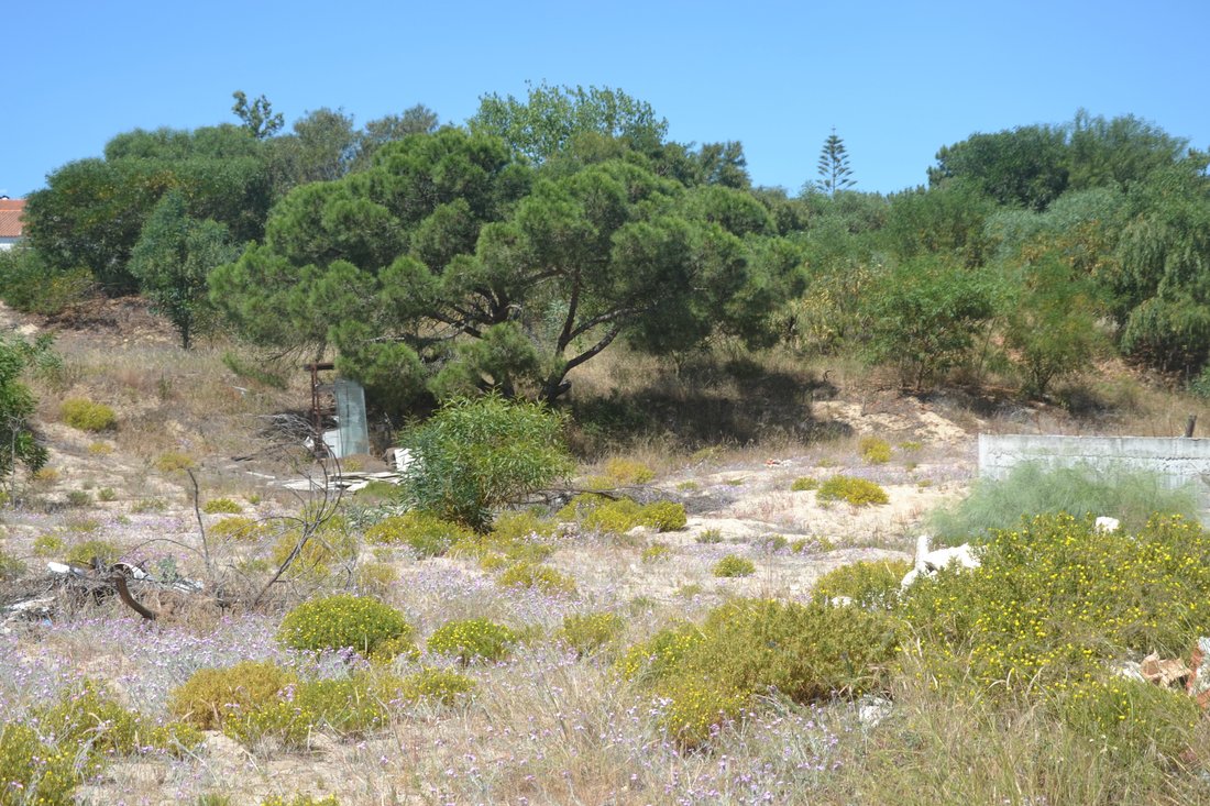 Land in Carvalhal, Setubal, Portugal 3 - 11955436