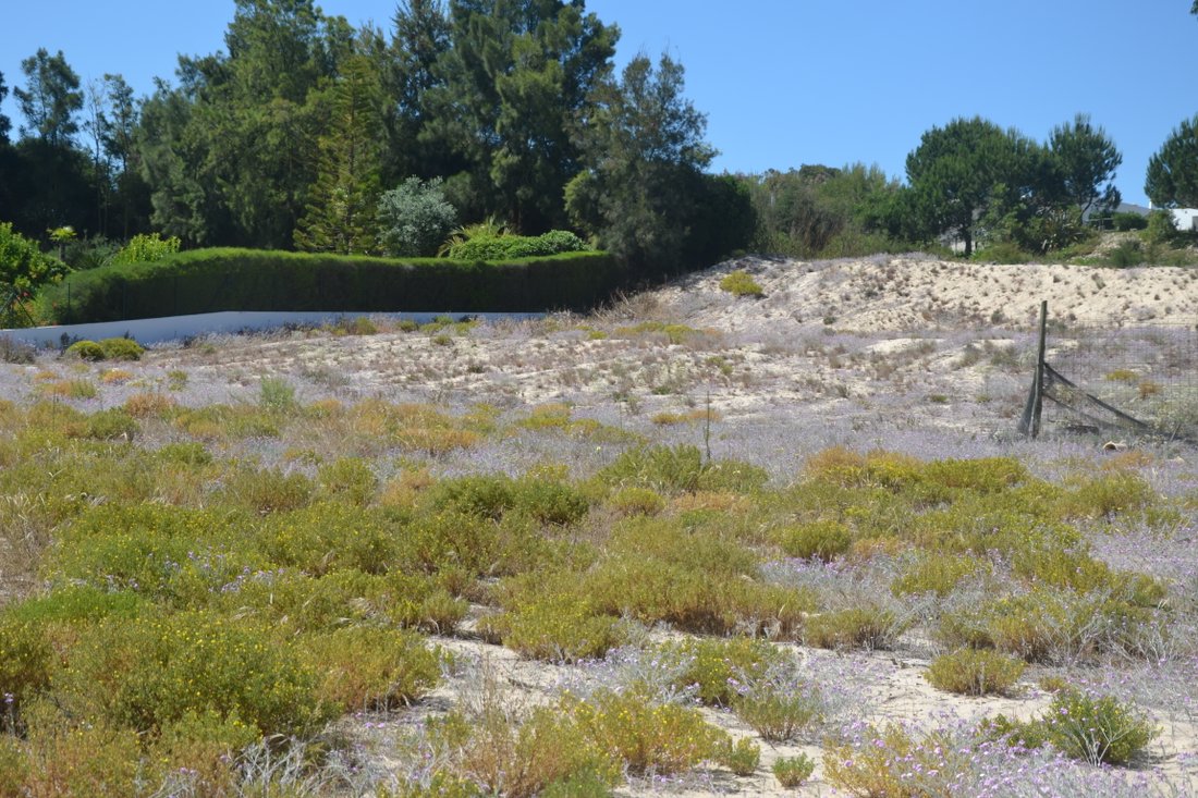 Land in Carvalhal, Setubal, Portugal 1 - 11955436