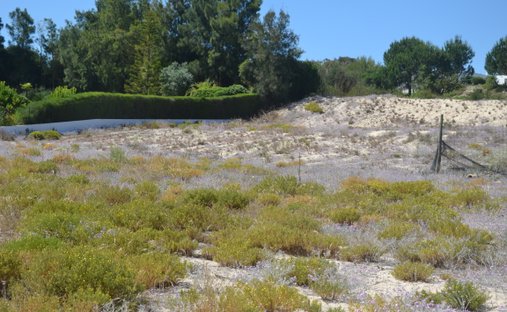 Land in Carvalhal, Setubal, Portugal 1
