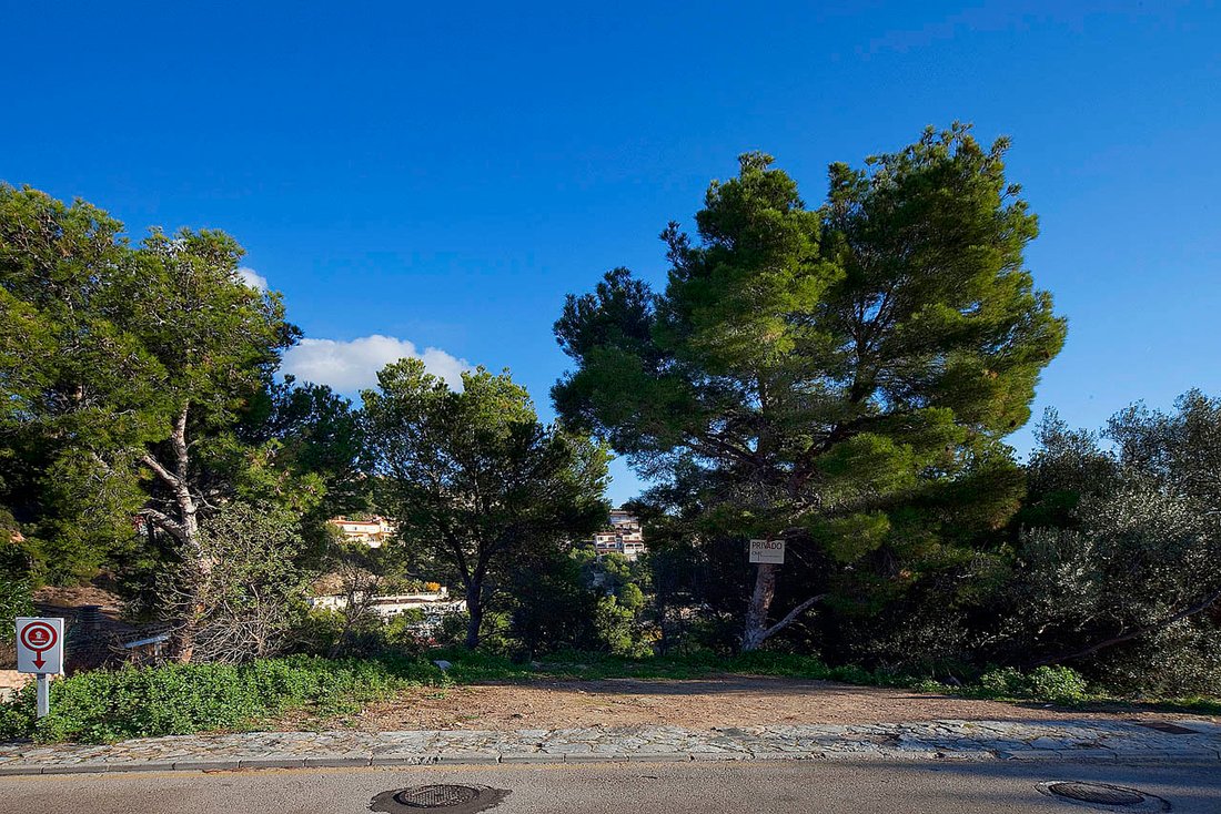 Villa in Costa d'en Blanes, Calvia, Balearic Islands 4 - 11963356