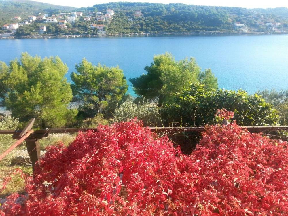 Villa in Grohote, Split-Dalmatia County, Croatia 1 - 10594819