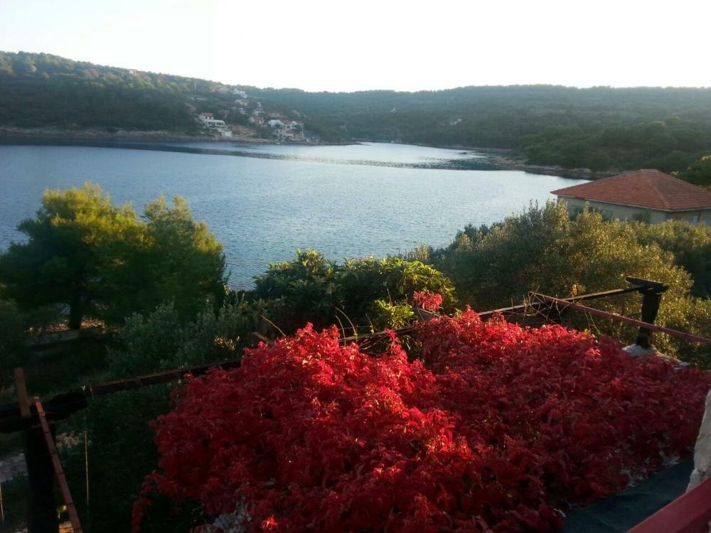 Villa in Grohote, Split-Dalmatia County, Croatia 4 - 10594819