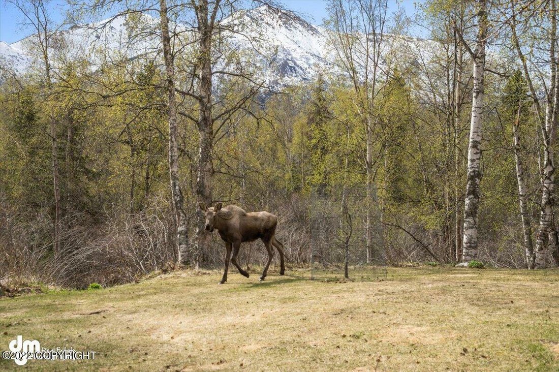 Terreno en Anchorage, Alaska, Estados Unidos 2 - 11967540