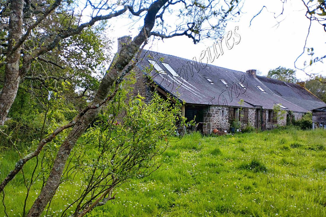 roses-and-rust-french-farmhouse