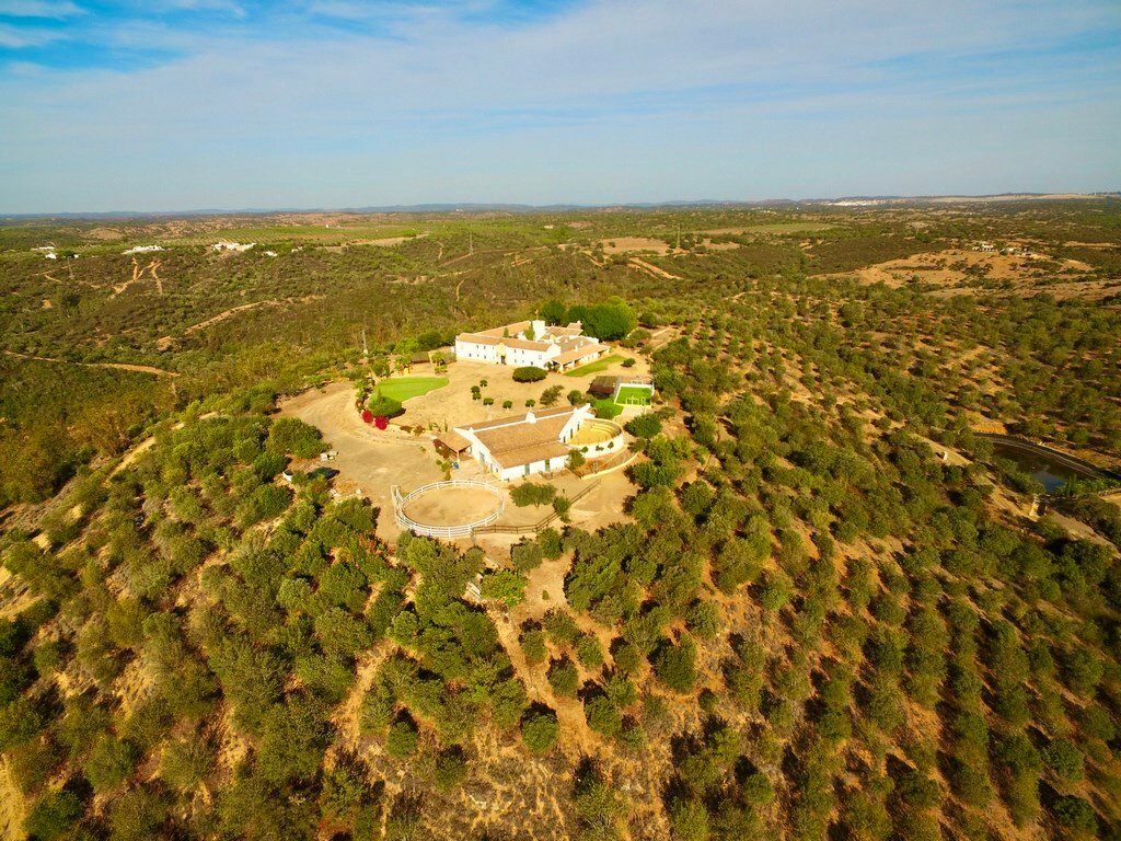 Ferme De 89 Ha Avec 7 Maisons Indépendantes Dans Séville, Andalousie