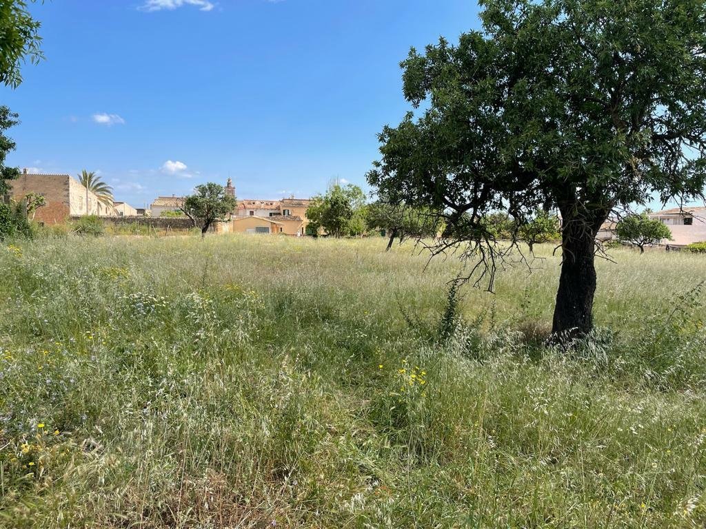 Land in Consell, Balearic Islands, Spain 1 - 11974326