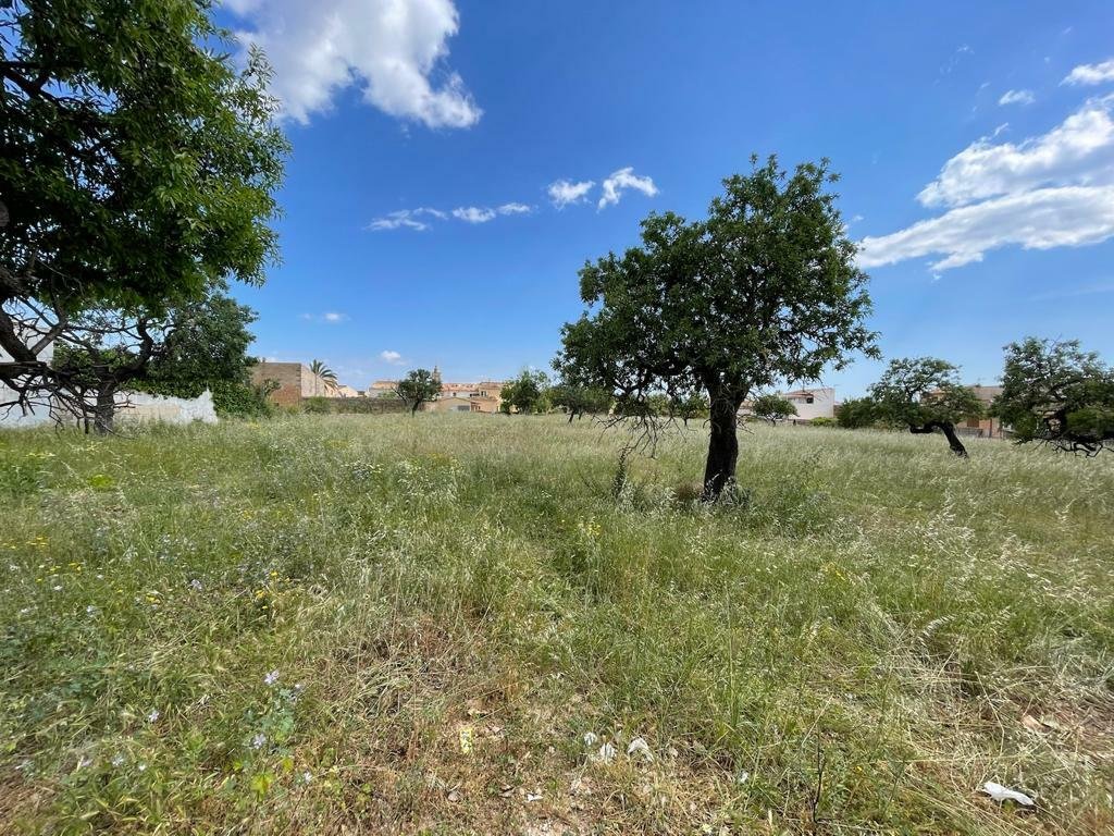 Land in Consell, Balearic Islands, Spain 2 - 11974326
