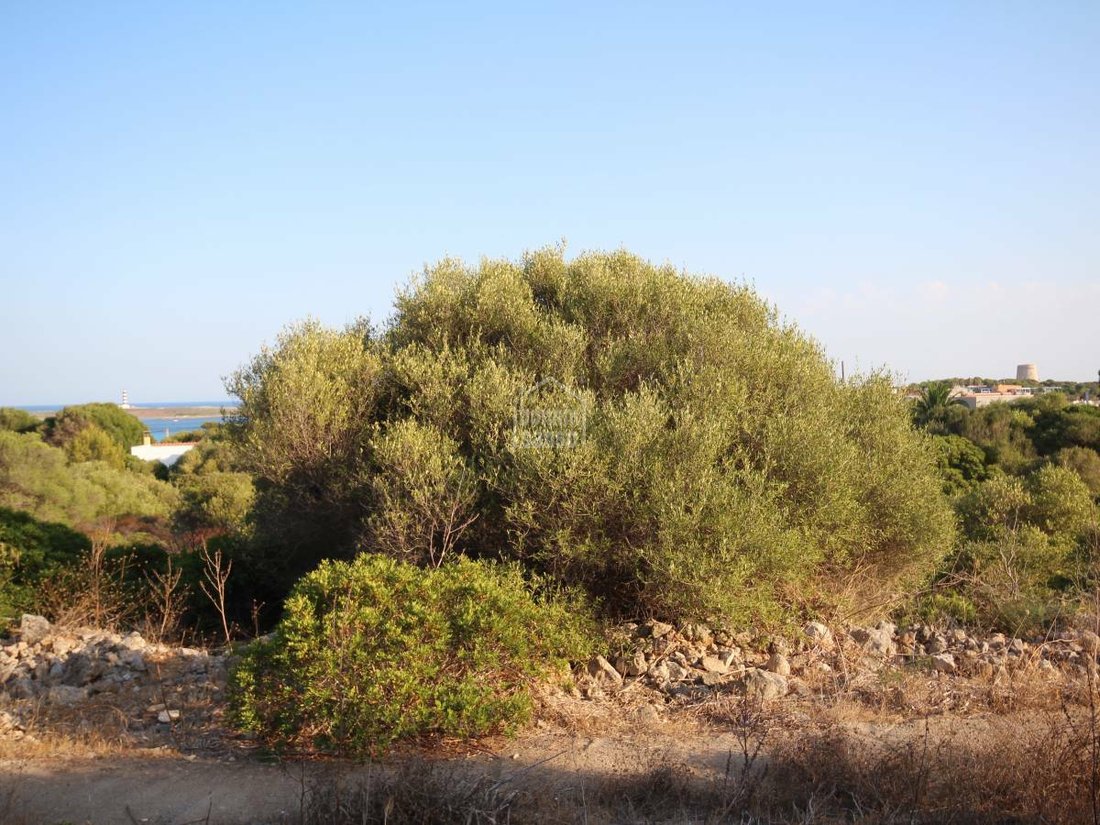 Altro a Punta Prima, Sant Lluís, Isole Baleari 5 - 11977041