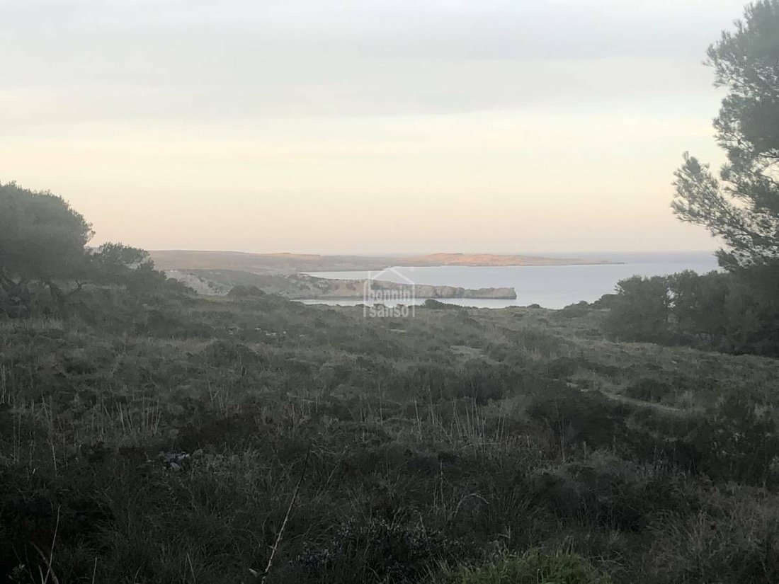 es Mercadal, Balearic Islands, Spain 5 - 11976806