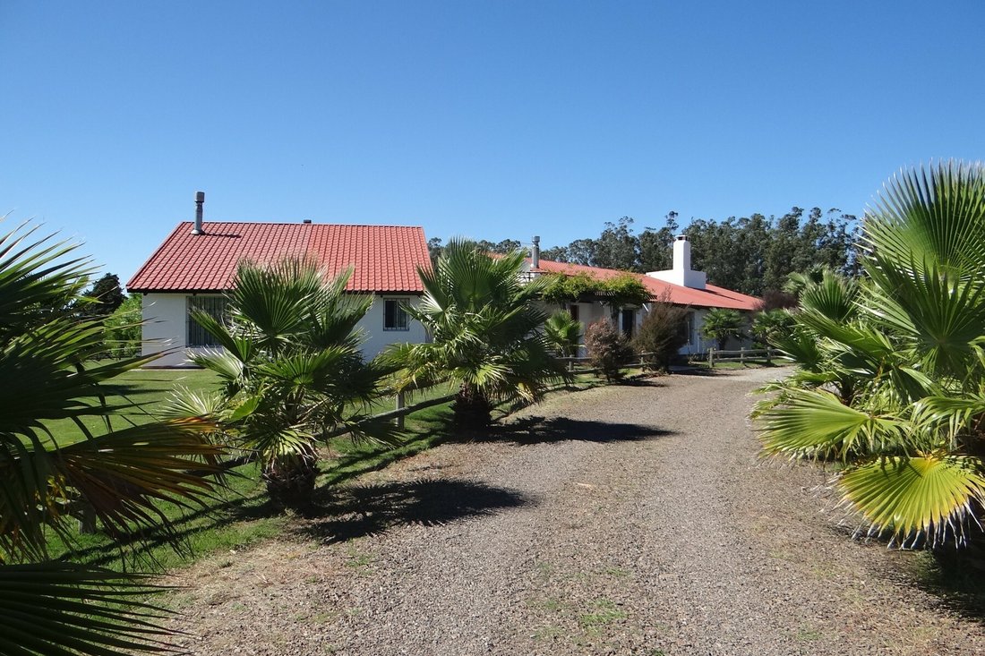 Excellent Farm In Pueblo Eden In San Carlos, Maldonado Department