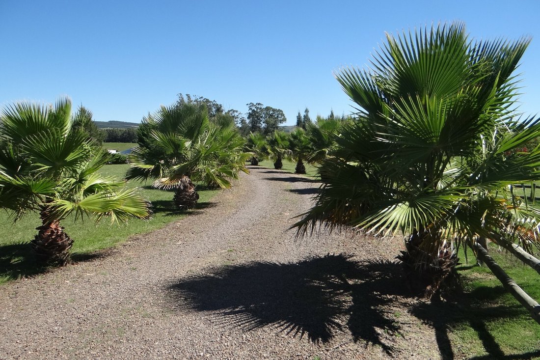 Farm Ranch in San Carlos, Maldonado Department, Uruguay 3 - 11978472