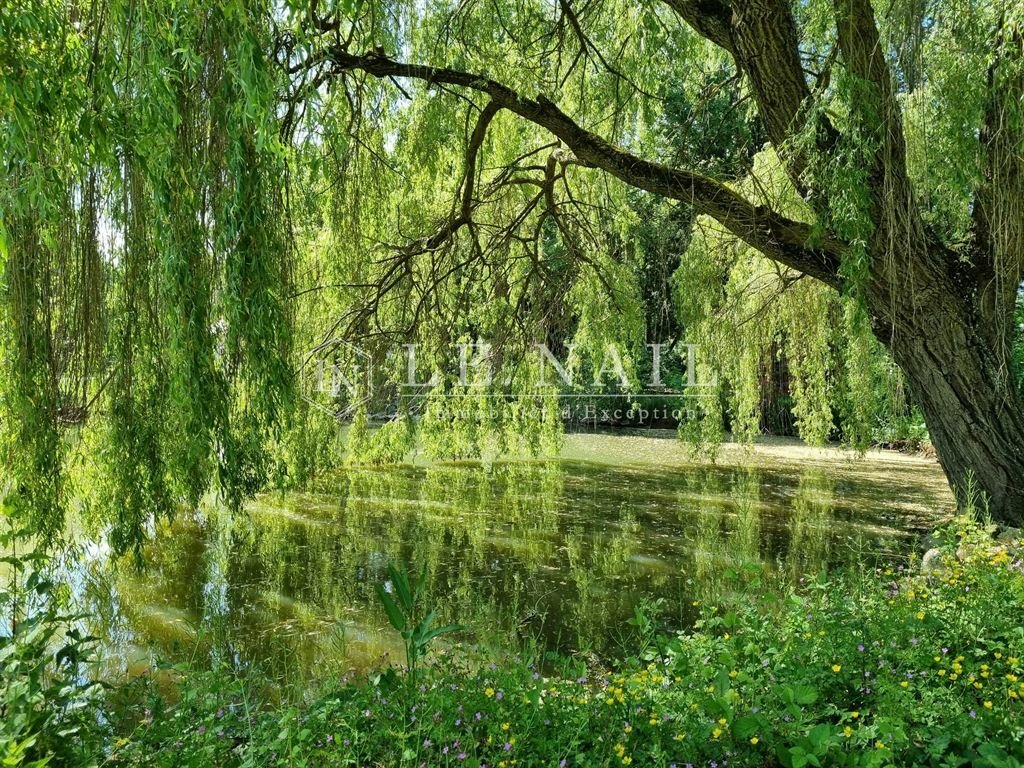 Whispers of Berry: A 19th-Century Château Hidden in Nature’s Embrace