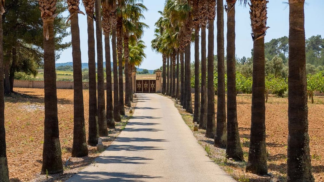 Villa in Algaida, Balearische Inseln, Spanien 2 - 11987992