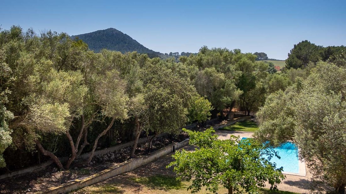 Villa in Algaida, Balearische Inseln, Spanien 5 - 11987992