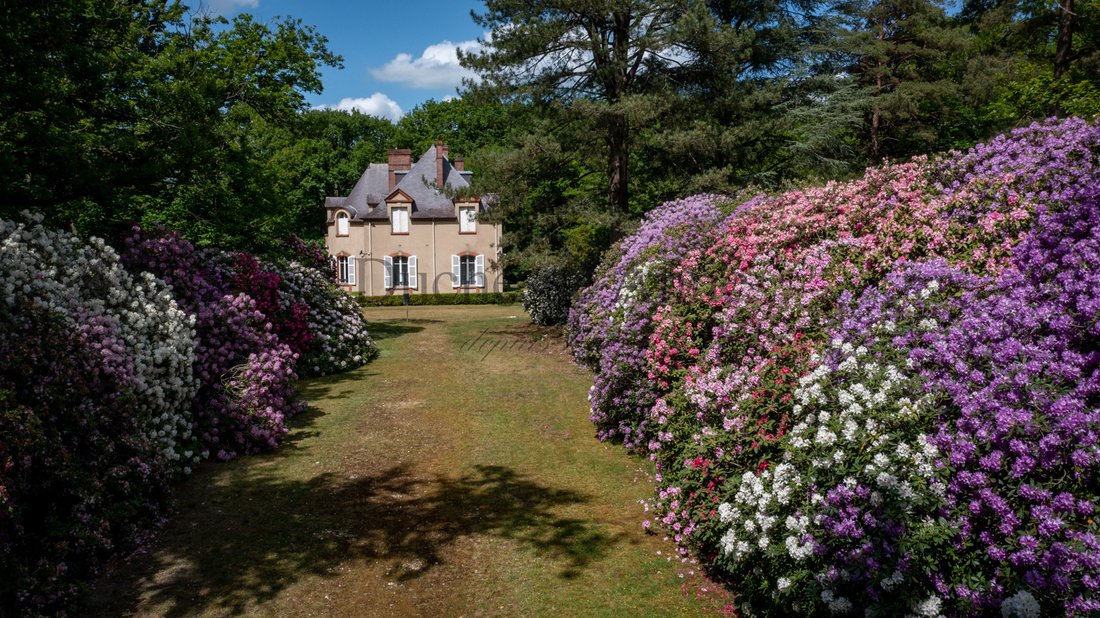 Casa a Les Mesnuls, Isola di Francia, Francia 4 - 11925612