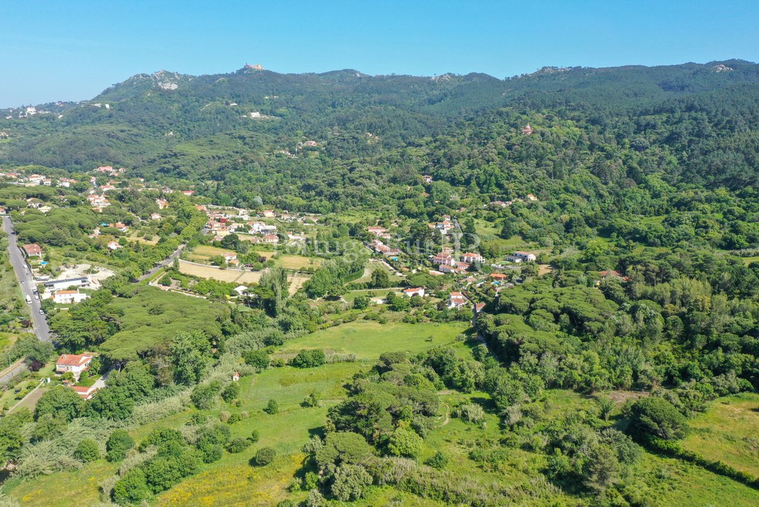 Land With 64500 M² In Sintra, Lisbon, Portugal For Sale (11990694)