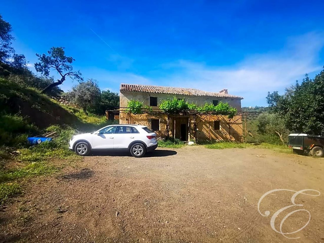 Country House in Colmenar, Andalusia, Spain 2 - 11991614