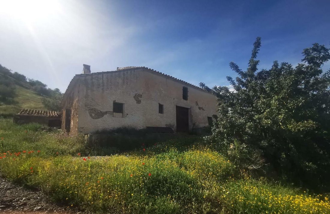 Country House in Colmenar, Andalusia, Spain 1 - 11991614
