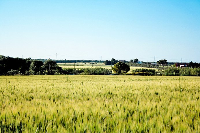 Rancho en Latiano, Apulia, Italia 5 - 11996071
