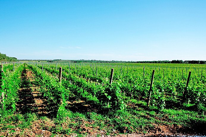 Rancho en Latiano, Apulia, Italia 3 - 11996071