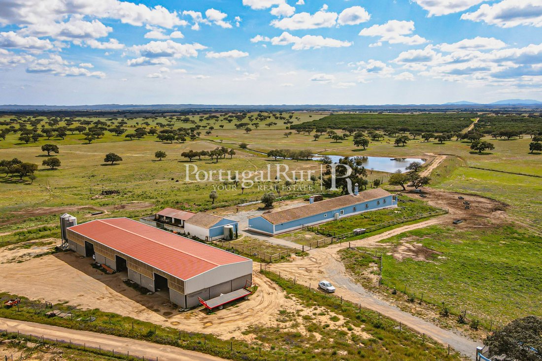Country Estate Sale Castro Verde In Castro Verde, Beja District, Portugal For Sale (11576541)