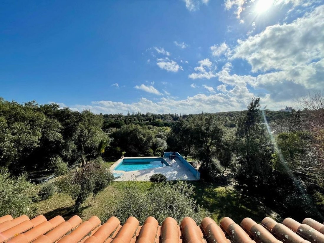 Villa in Sotogrande, San Roque, Andalusia 5 - 12002545