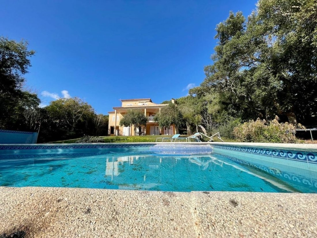 Villa in Sotogrande, San Roque, Andalusia 3 - 12002545