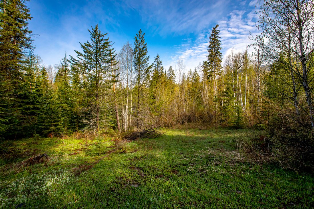 1360 Cameron Lane In Whitefish, Montana, United States For Sale (12002756)