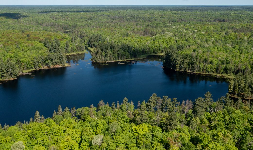 Symphony Of Nature In Parry Sound, Ontario, Canada For Sale (12003558)